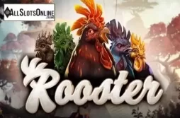 Rooster