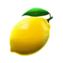 icon 6
