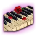 icon 2