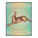 icon 7