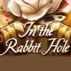 In The Rabbit Hole