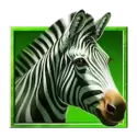 icon 4
