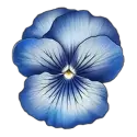 icon 3