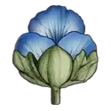 icon 6