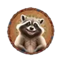 icon 5
