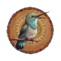 icon 6