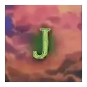 icon 9