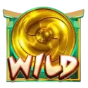 icon 9