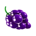 icon 5