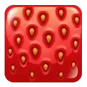 icon 2