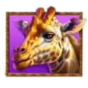 icon 5