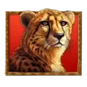 icon 2