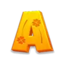 icon 5