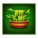icon 4