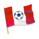 icon 5