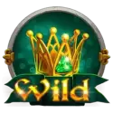 icon 1