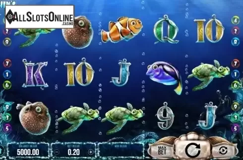 Reel Screen. Dolphin's Wild Ride from SYNOT
