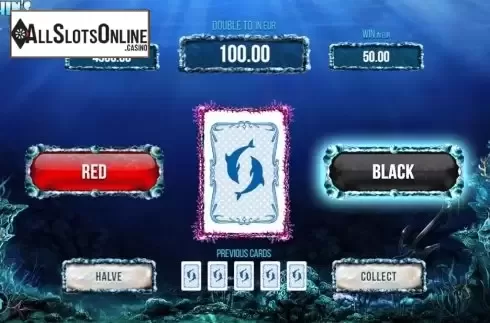 Gamble. Dolphin's Wild Ride from SYNOT