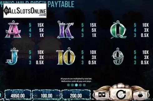 Paytable. Dolphin's Wild Ride from SYNOT