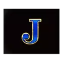 icon 10