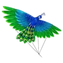 icon 2