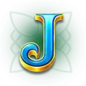 icon 9