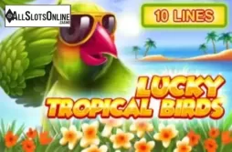 Lucky Tropical Birds