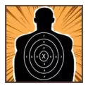 icon 4