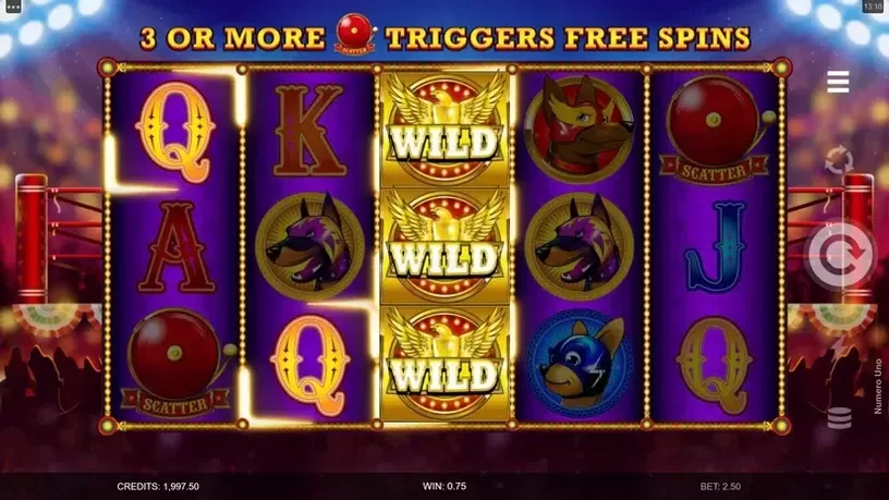 Numero Uno slot screenshot 2