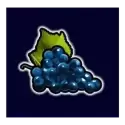 icon 6