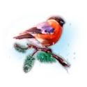 icon 3