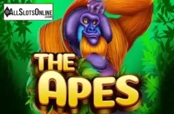 The Apes