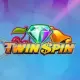 Twin Spin