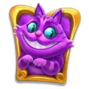 icon 5