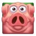 icon 3