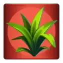 icon 5