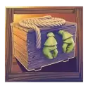 icon 10