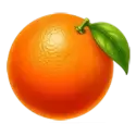 icon 5