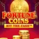 Fortune Coins