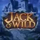 Jack O'Wild