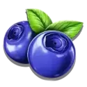 icon 2
