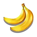 icon 5