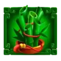 icon 5