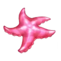 icon 5