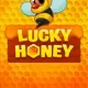 Lucky Honey