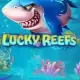Lucky Reefs