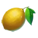 icon 7