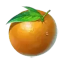 icon 6