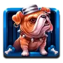 icon 3