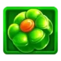 icon 2